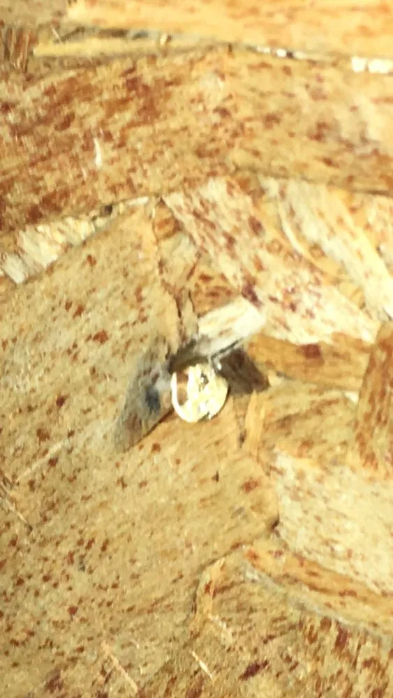 Slide of Elwell Construction