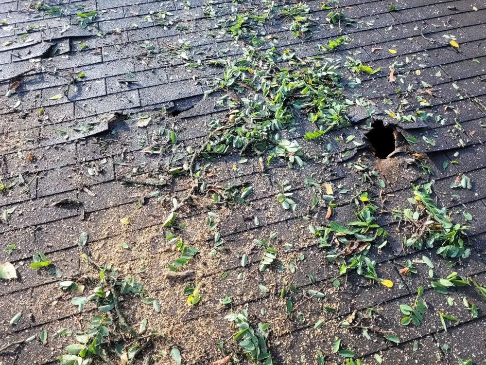 Slide of Ember Roofing