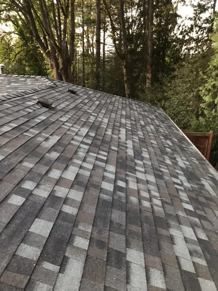 Slide of EMDF Roofing