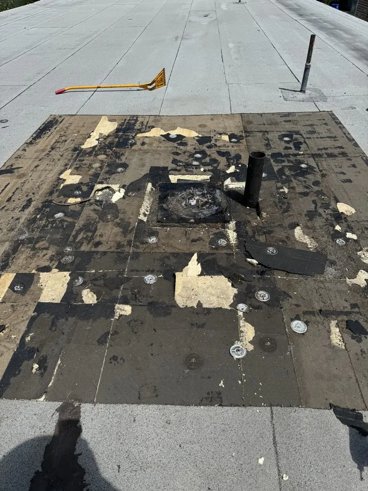 Slide of Emerald Builds