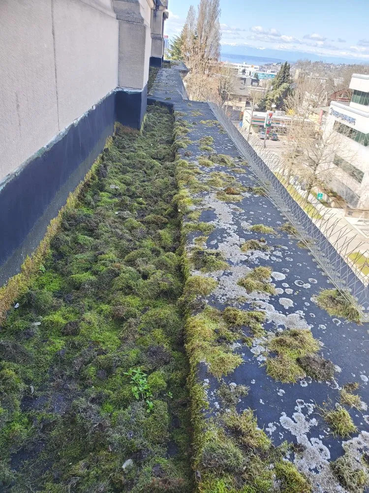 Slide of Emerald Contracting NW