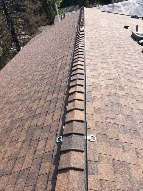 Slide of Emerald Green Roofing