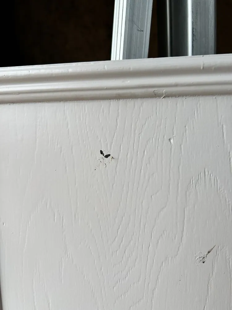 Slide of Emerald Roofing & Remodeling Services