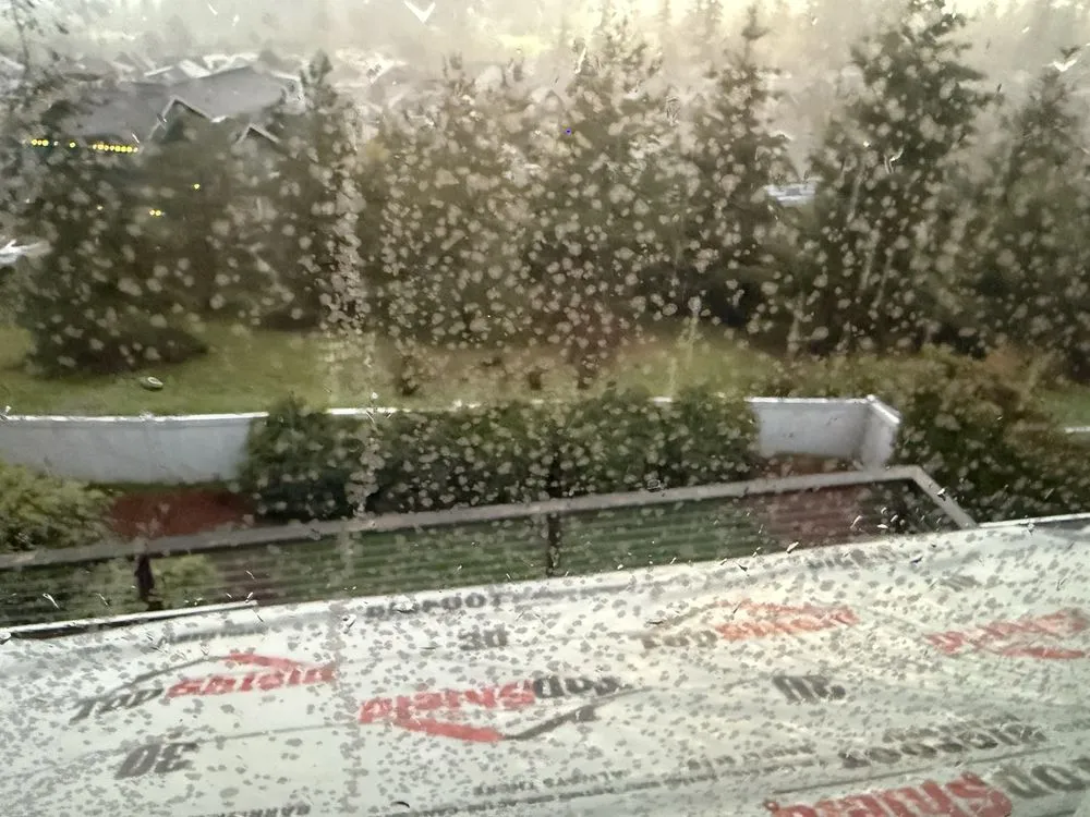 Slide of Emerald State