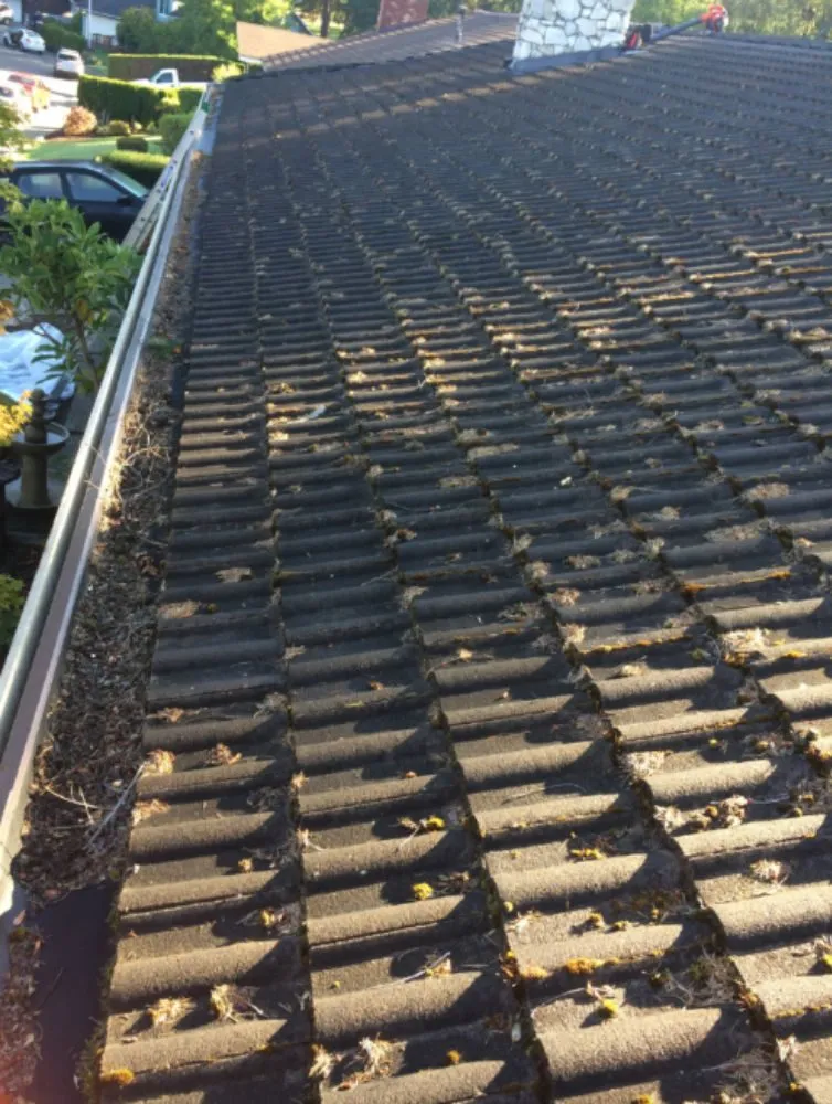 Slide of Emerald Tile Roofing