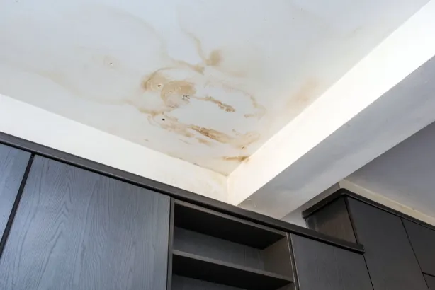 Slide of Emergency Dryout Services