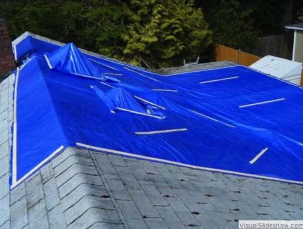 Slide of Emergency Dryout Services