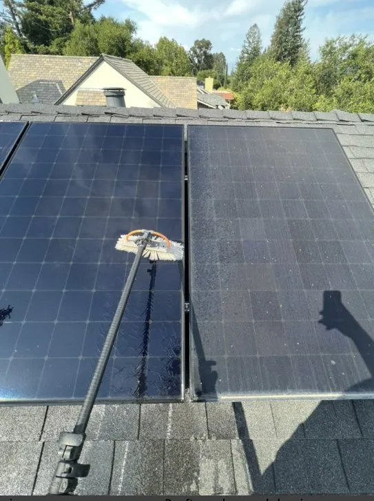 Slide of Emilio Torres