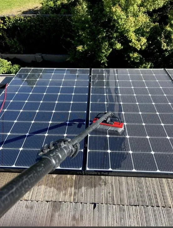 Slide of Emilio Torres