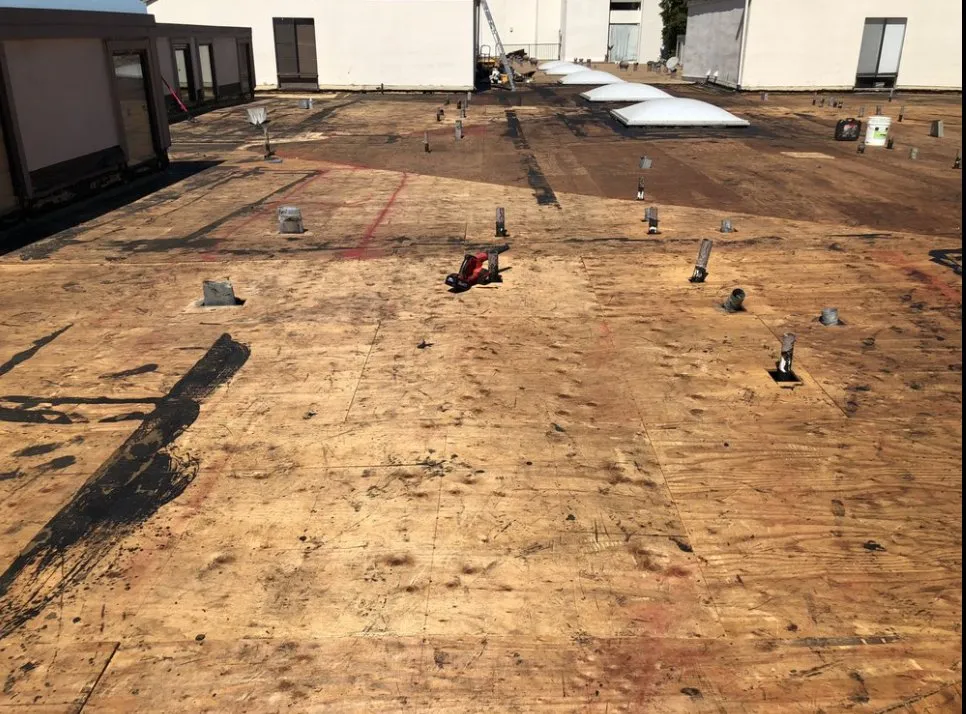 Slide of Emilio Torres