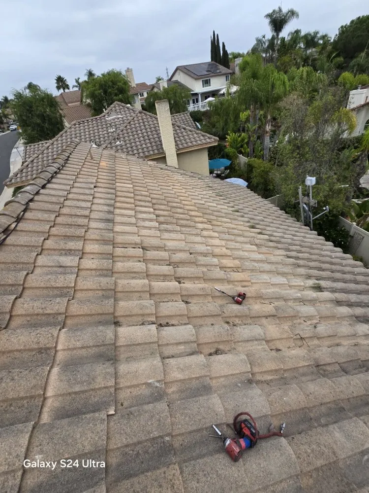 Slide of Emilio Torres