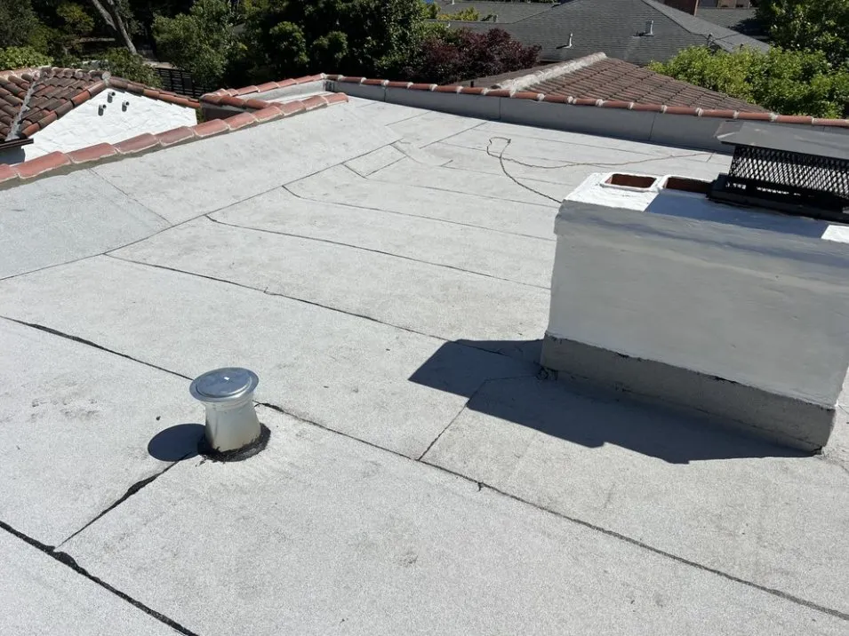 Slide of Emilio Torres