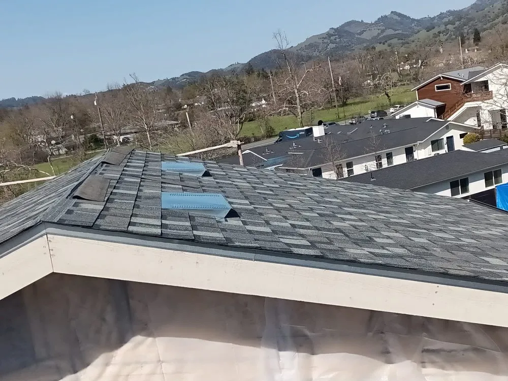 Slide of Emilio’s Painted