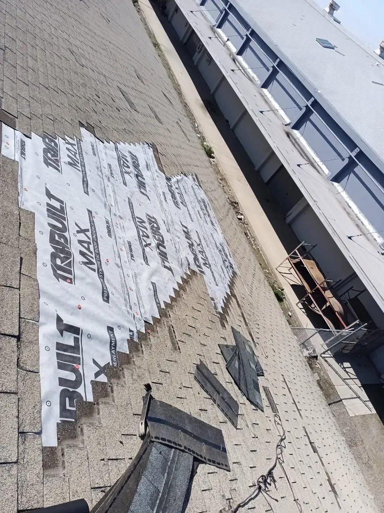 Slide of Emilio’s Painted