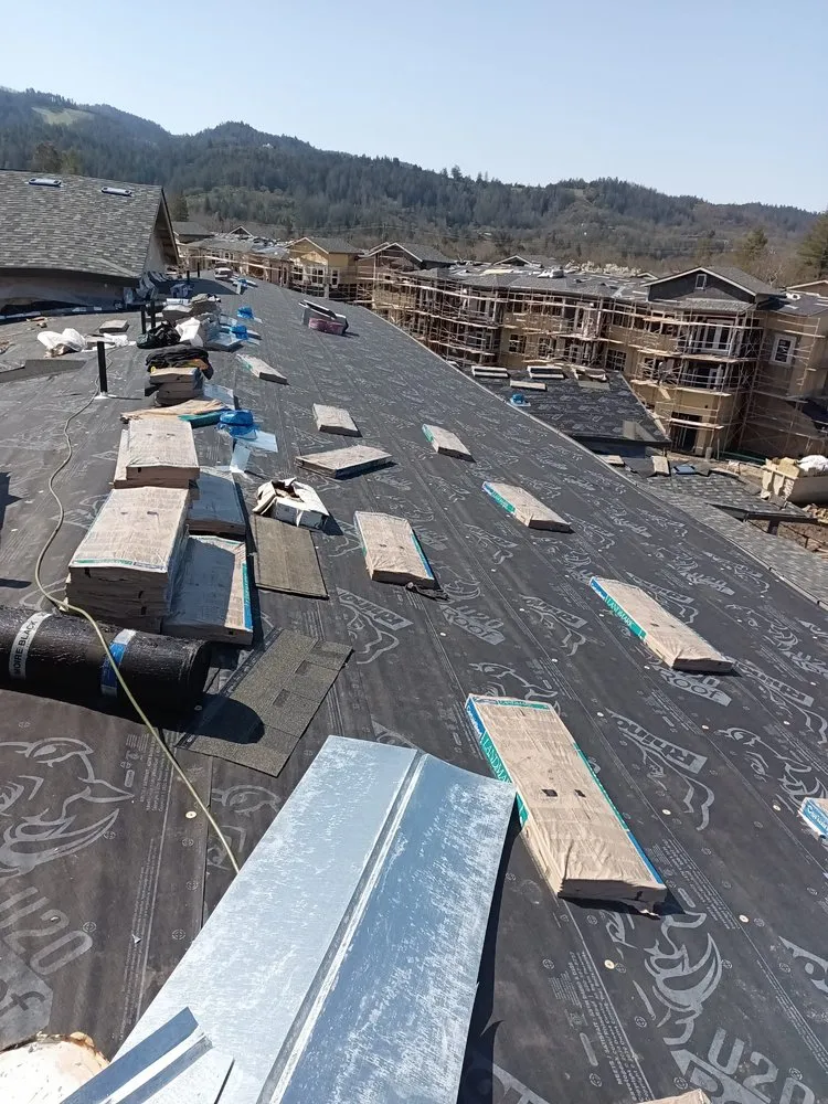 Slide of Emilio’s Painted