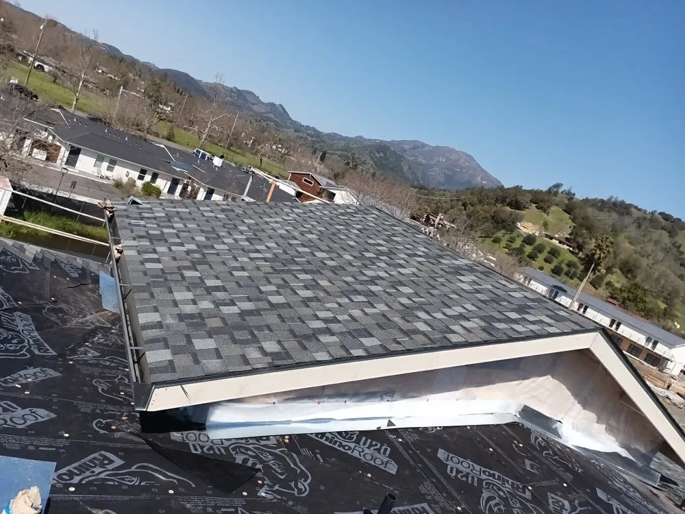 Slide of Emilio’s Painted