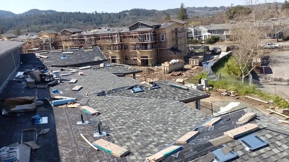 Slide of Emilio’s Painted