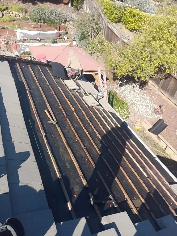 Slide of Emilio’s Painted