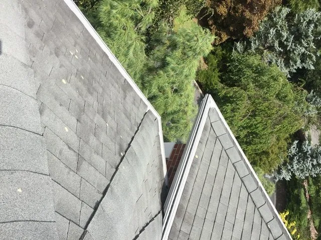 Slide of Emily Home Improvement