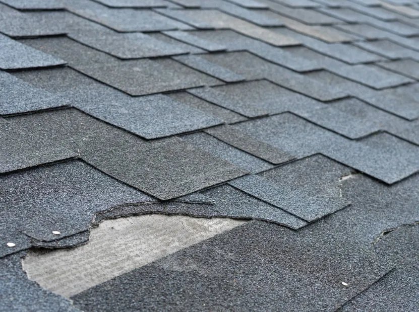 Slide of Eminent Exteriors