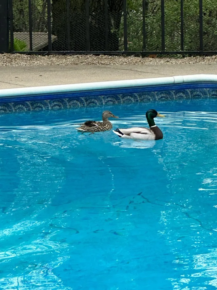 Slide of Emmer Construction