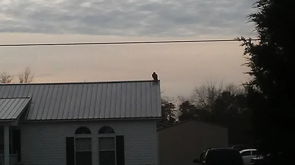 Slide of Emperor Roofing