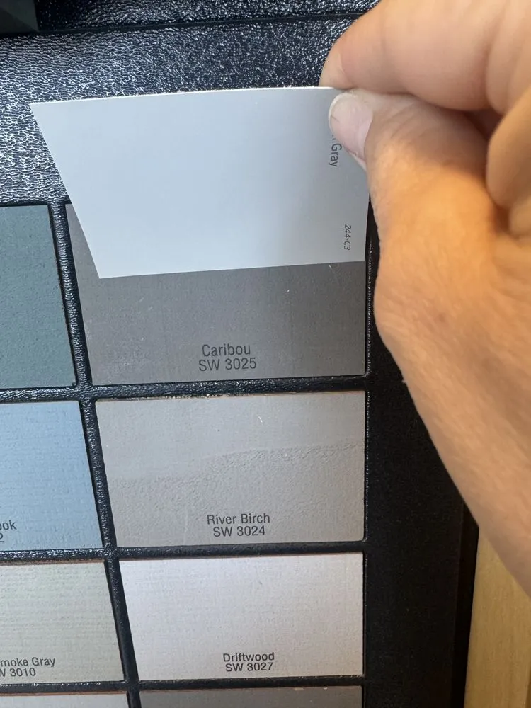 Slide of Empire Pro Painting