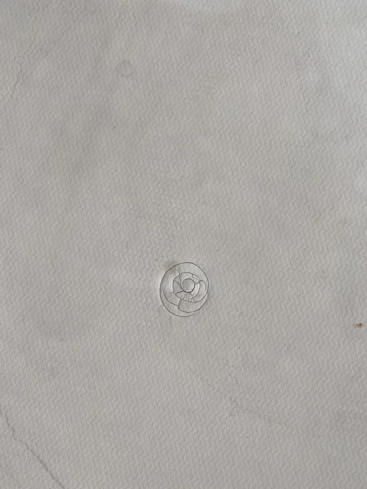 Slide of Enchanted Roofing