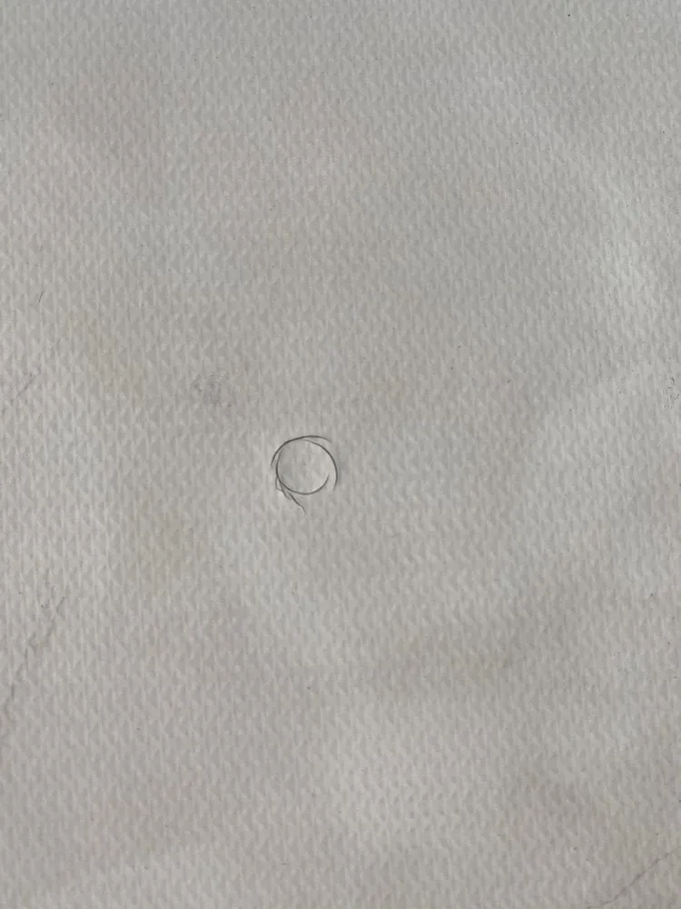 Slide of Enchanted Roofing