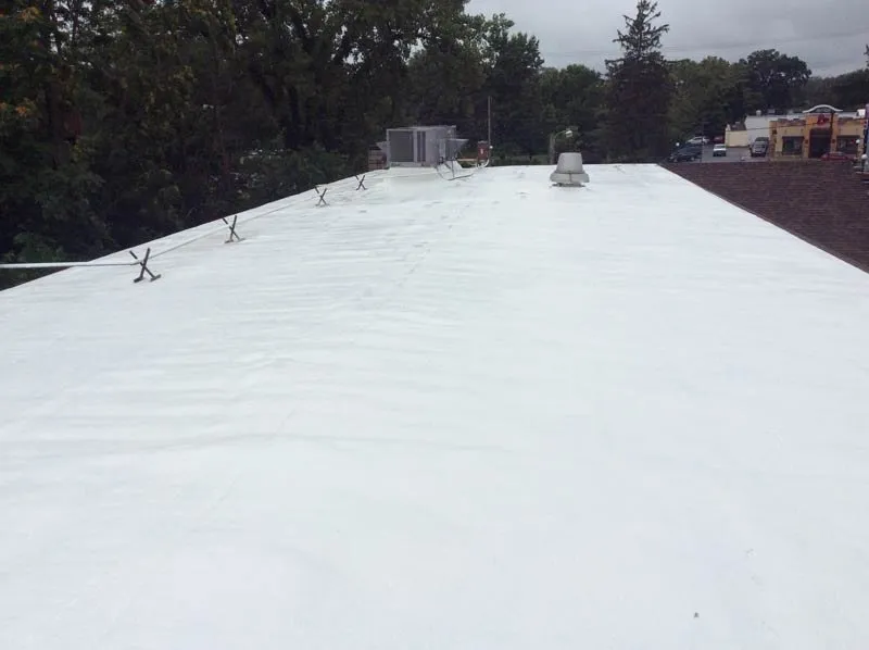 Slide of Energy Efficient Roofing