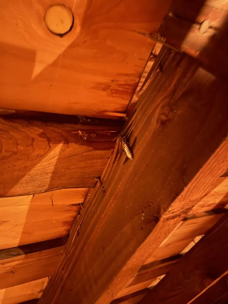 Slide of Energy Renovation Center