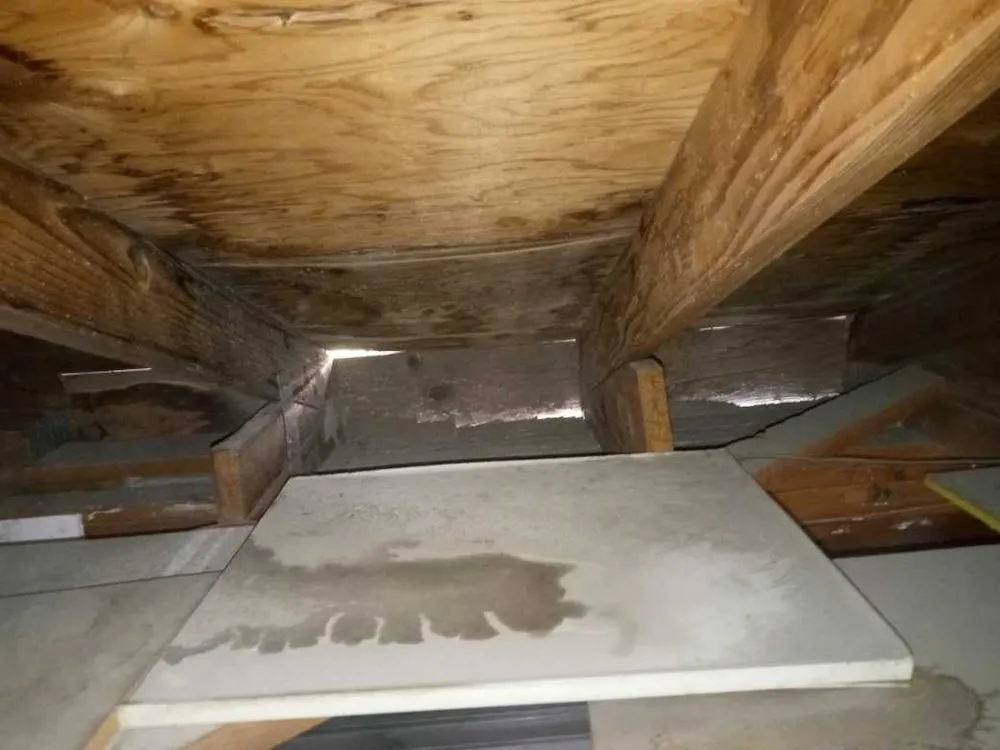 Slide of Enigma 1 Solutions