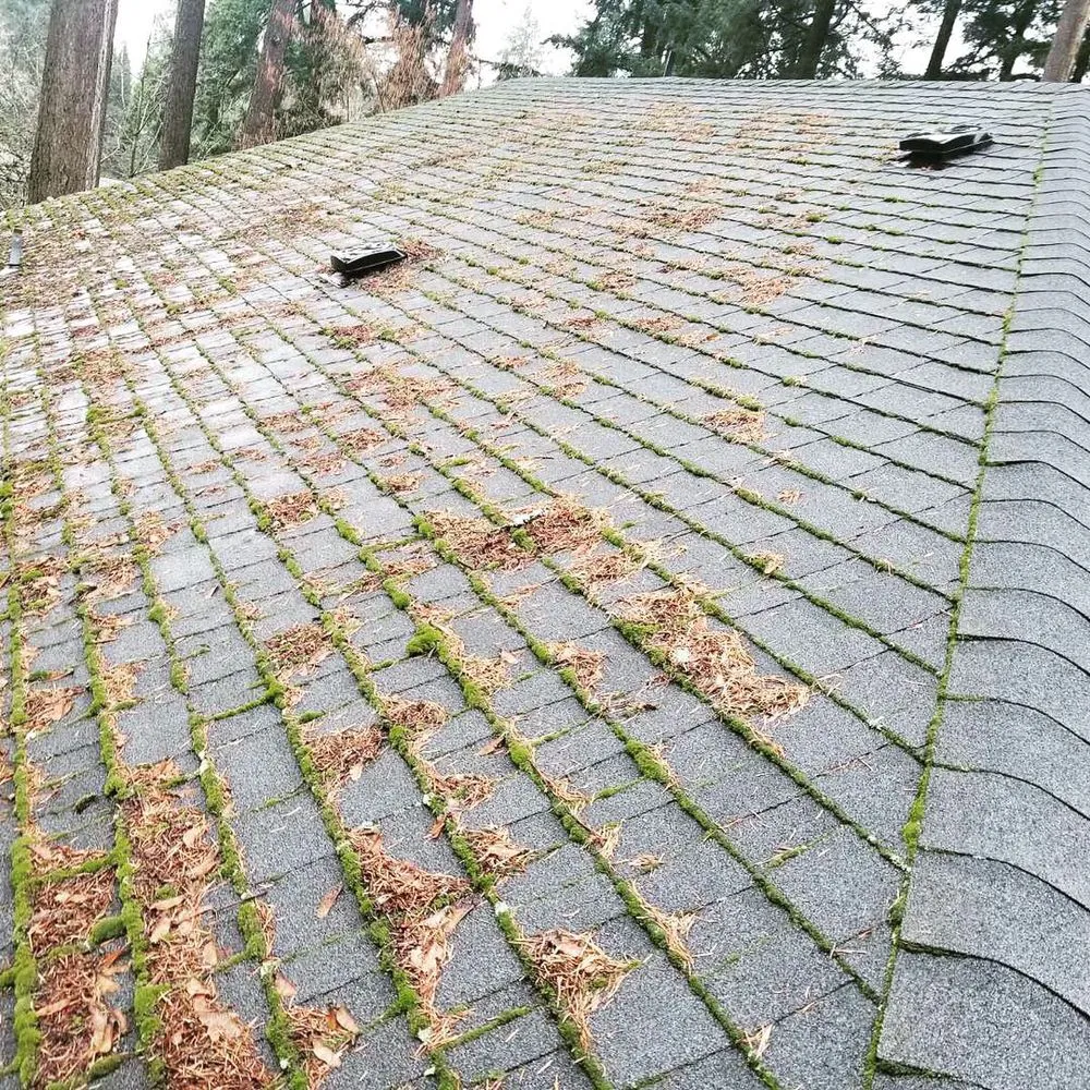 Slide of Envision Property Maintenance