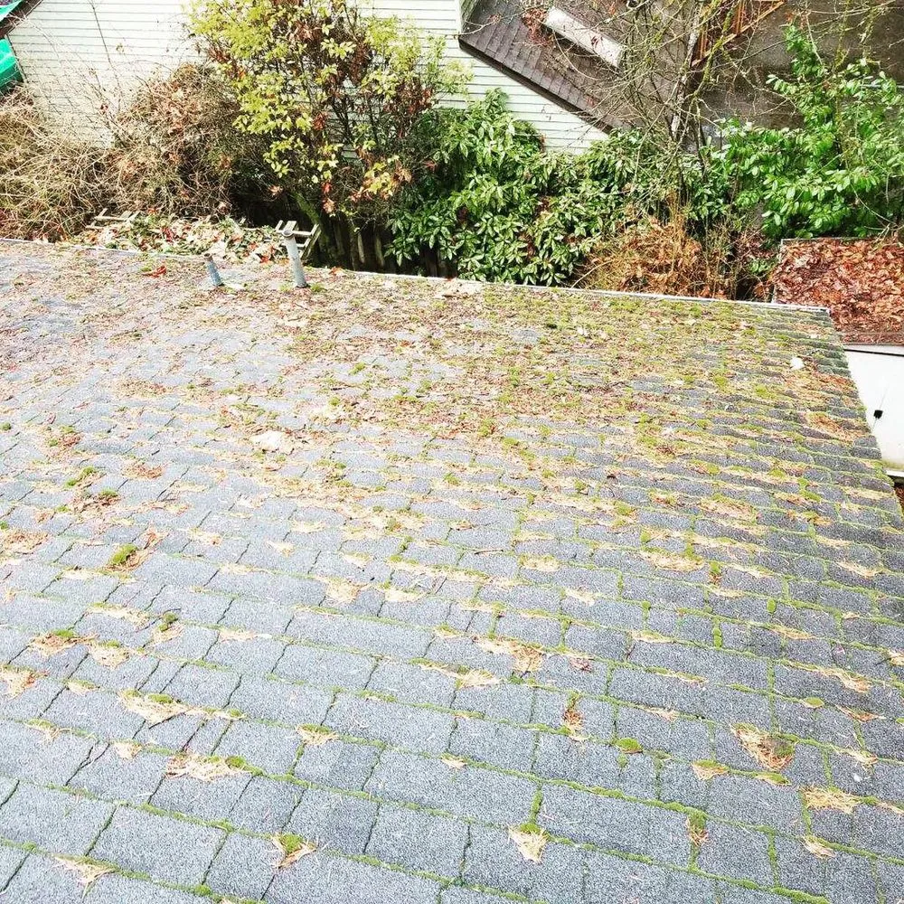 Slide of Envision Property Maintenance