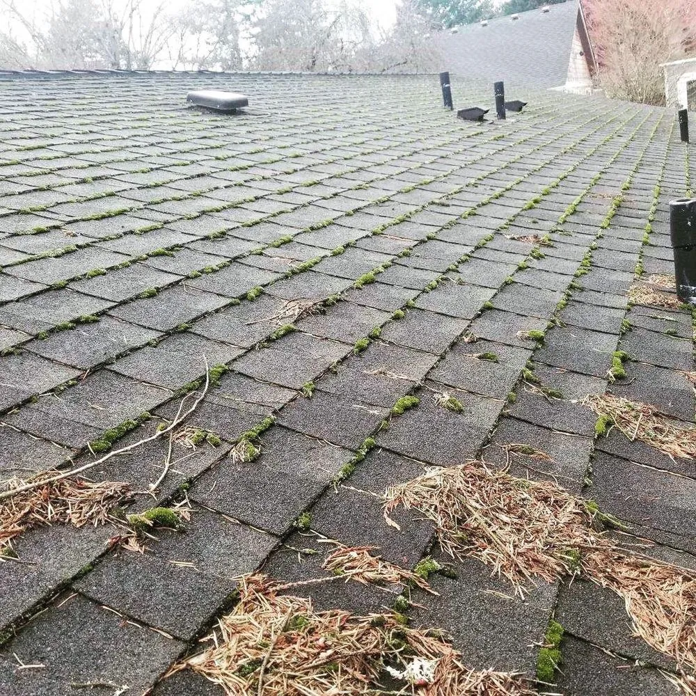 Slide of Envision Property Maintenance