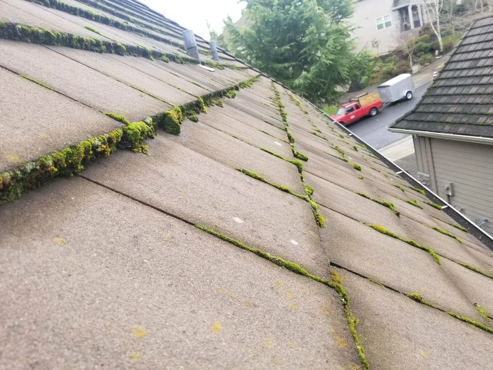 Slide of Envision Property Maintenance