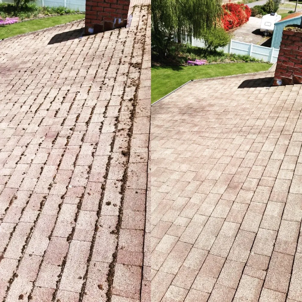 Slide of Envision Property Maintenance