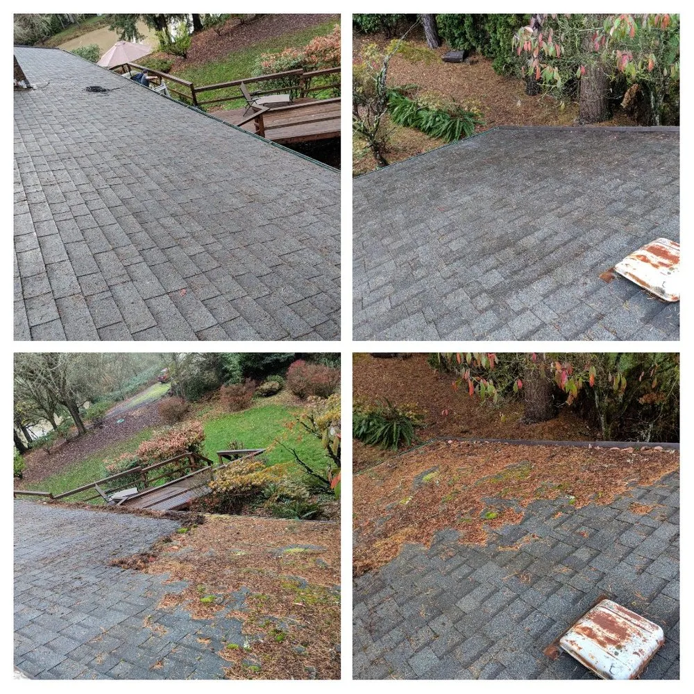 Slide of Envision Property Maintenance