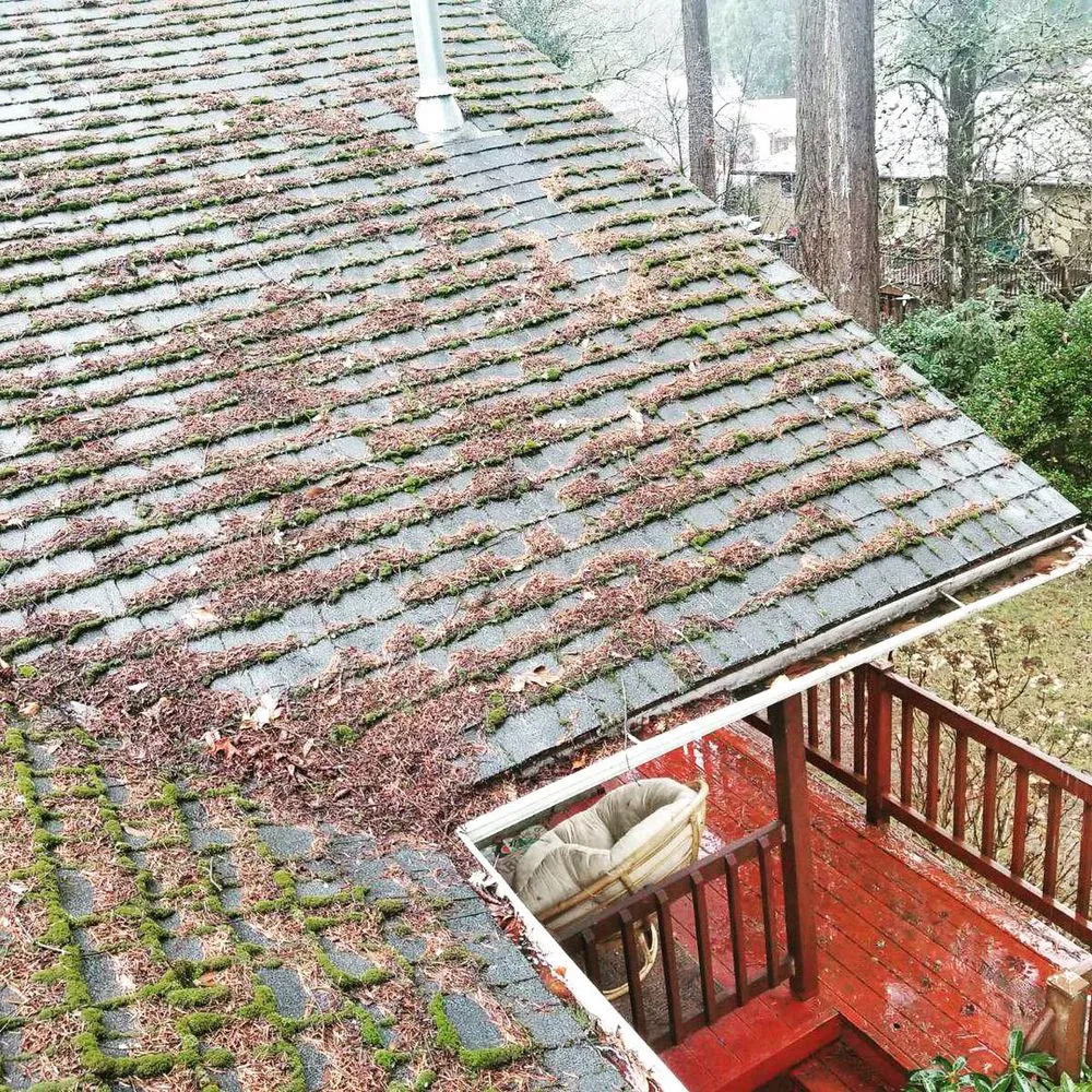 Slide of Envision Property Maintenance