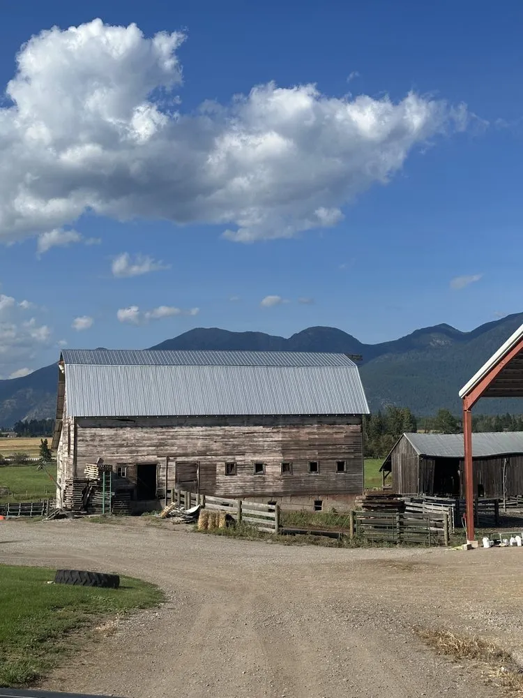 Slide of Enzee Roofing