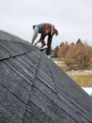 Enzee Roofing