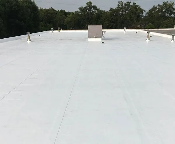 Slide of EO Wood of Missouri