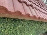 Slide of Epic Roofing Services