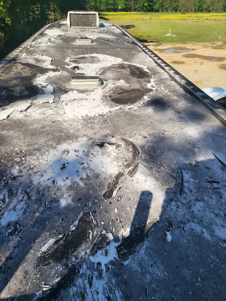 Slide of Equine Kool