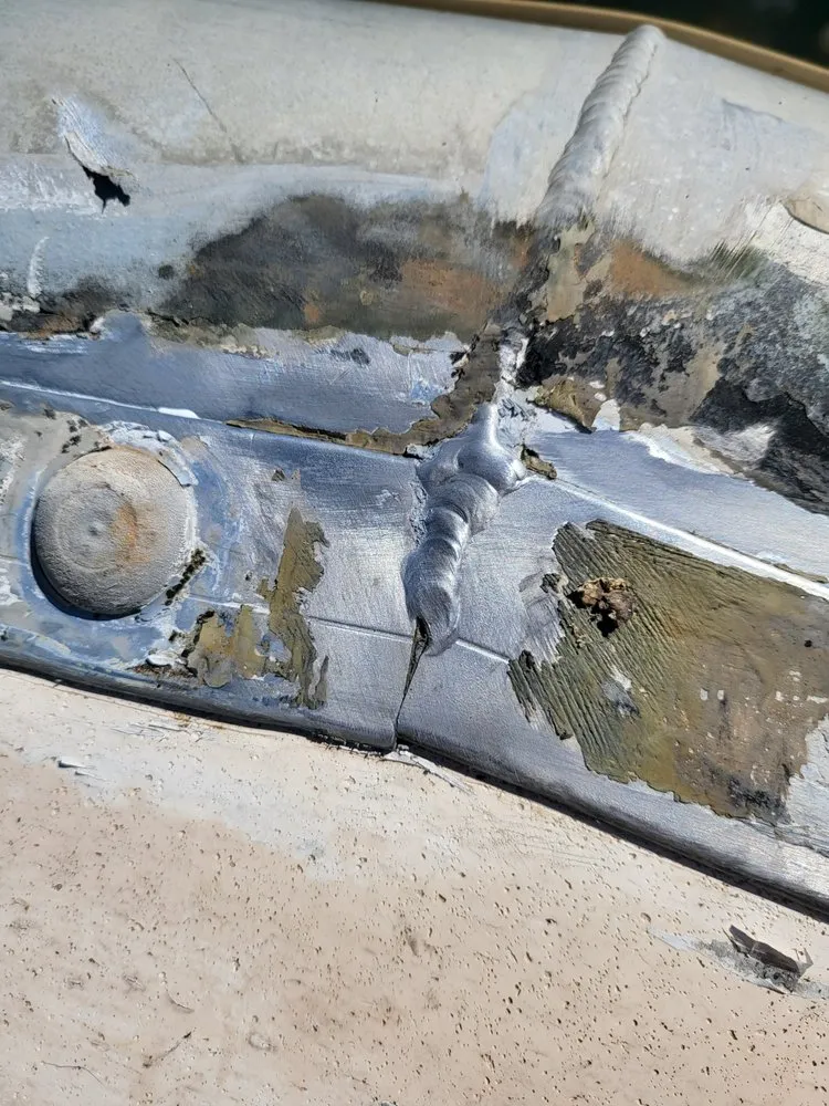 Slide of Equine Kool