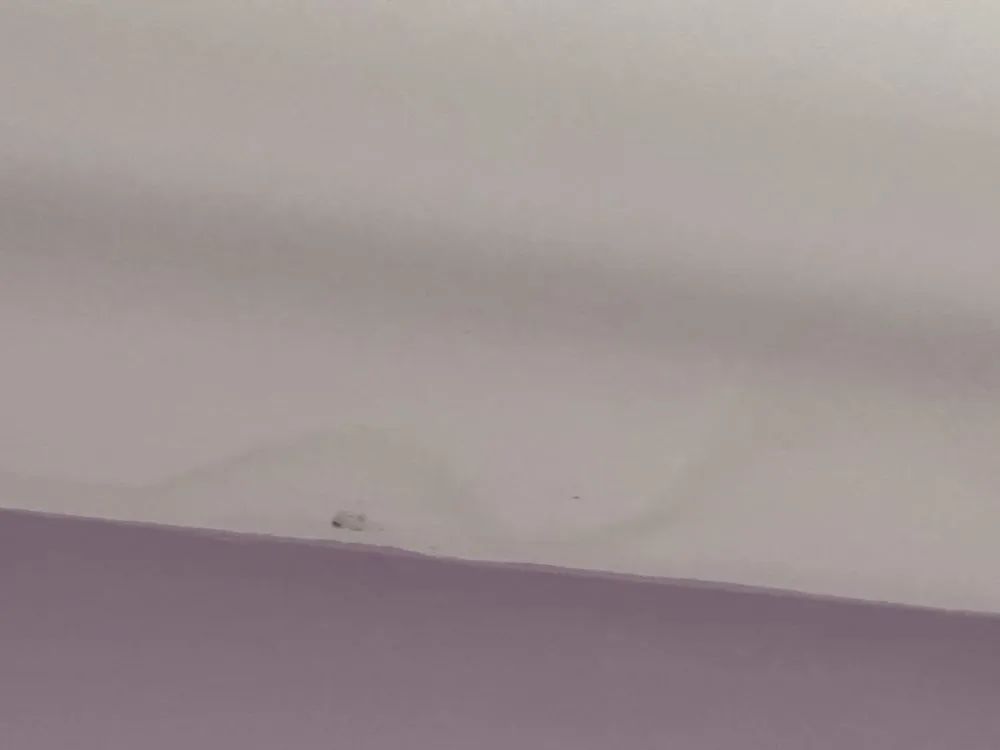 Slide of Erdmann Exterior Designs