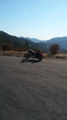 Erickson Roofing Logo