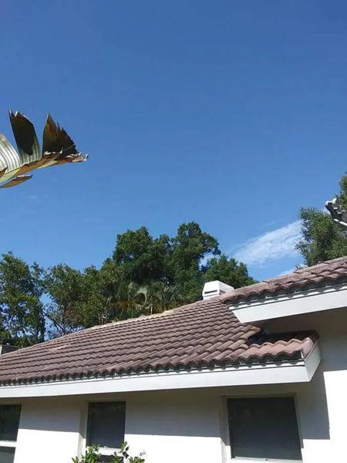 Slide of Erik's Roof Cleaning