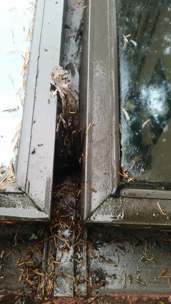 Slide of Esary Roofing & Siding