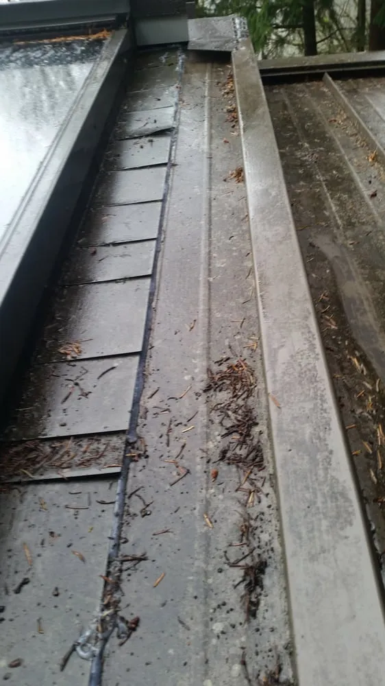 Slide of Esary Roofing & Siding